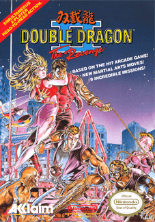 DOUBLE DRAGON II: THE REVENGE