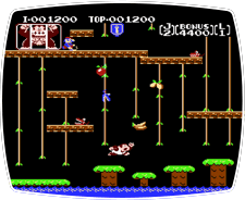 Donkey Kong Jr.