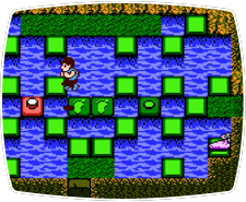StarTropics™